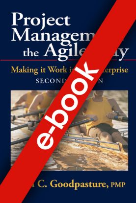Project Management the Agile Way, Second Edition e-book